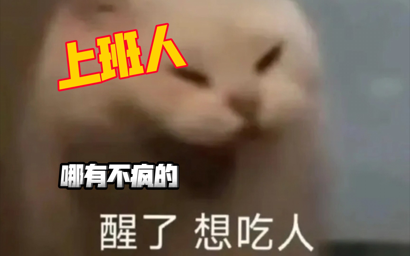 关于破防了打工人哪有不疯的硬撑罢了的信息 关于破防了打工人哪有不疯的硬撑罢了的信息