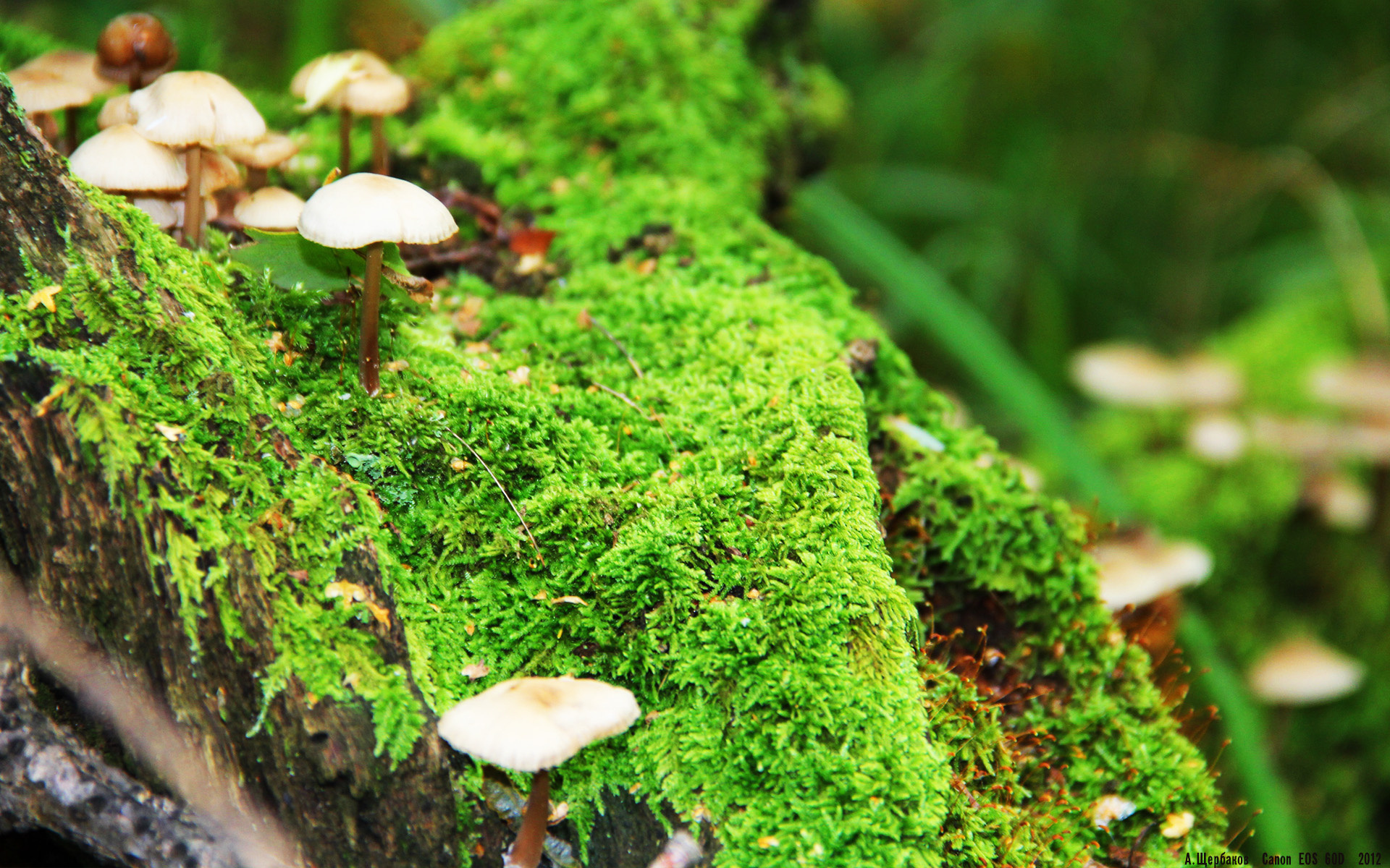 爱游戏下载-小贾伦，当稳定成为最锋利的武器