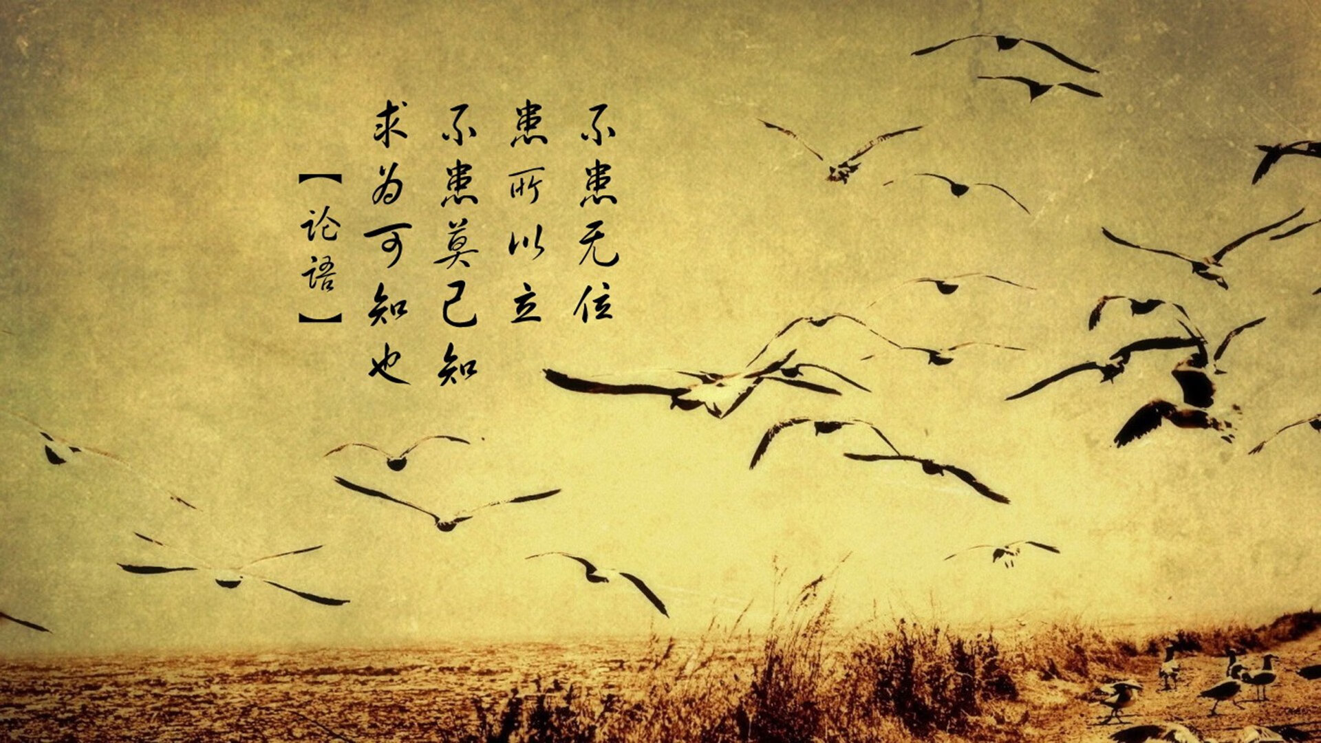 维尼修斯关键一击,乌拉圭高效粉碎突尼斯