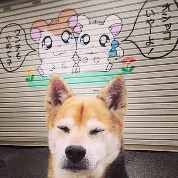 沉默巨人觉醒时刻，英格拉姆的爆发与山西队绝地逆转的终极寓言