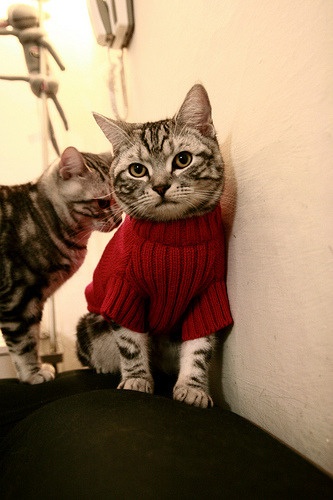 字母哥统治攻防，骑士憾负北京，一场被希腊怪兽掌控的跨国交锋