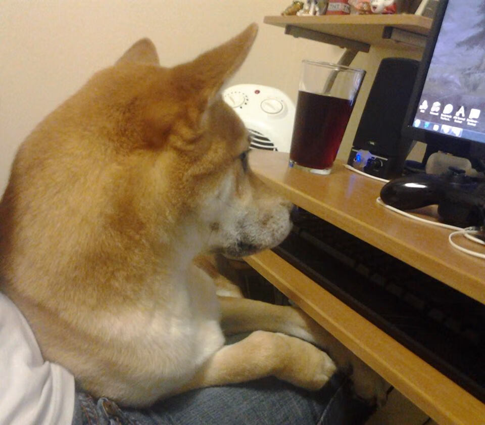 年度焦点之战，加拿大击溃卡塔尔，足球版图重绘的震撼之夜