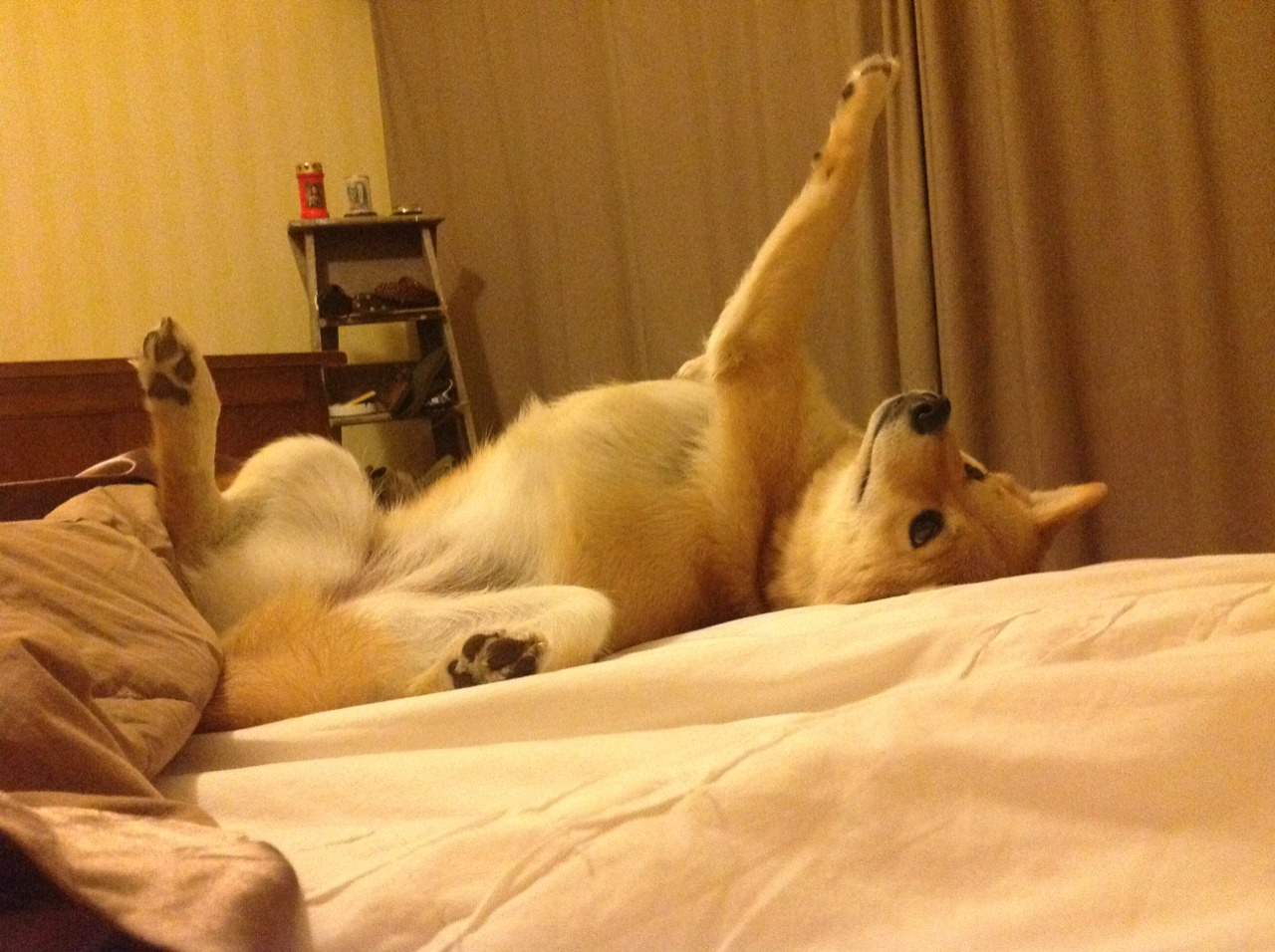 爱游戏tv-太阳险胜广东队，马克西东决关键战接管比赛