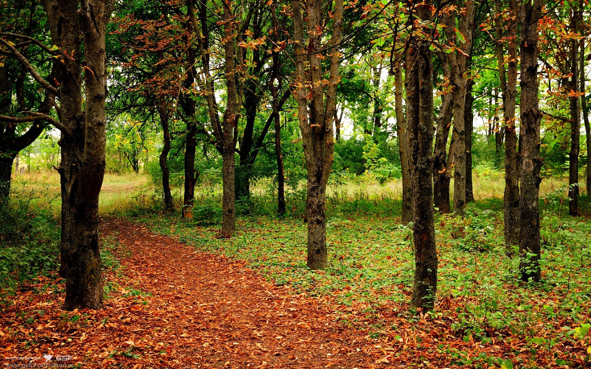 爱游戏官网-2026世界杯之夜，拉梅洛用双手让全世界忘记了他的脚