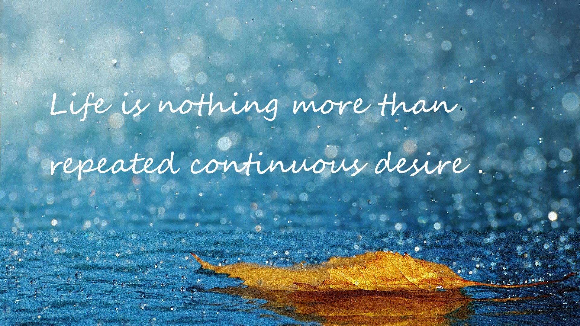 爱游戏tv-格纳布里，大舞台上的璀璨星辰—加拿大与勒沃库森友谊赛深度解析